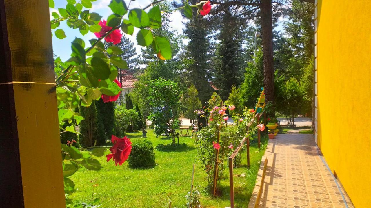 Villa Ruza Apartments Zlatibor Exterior foto